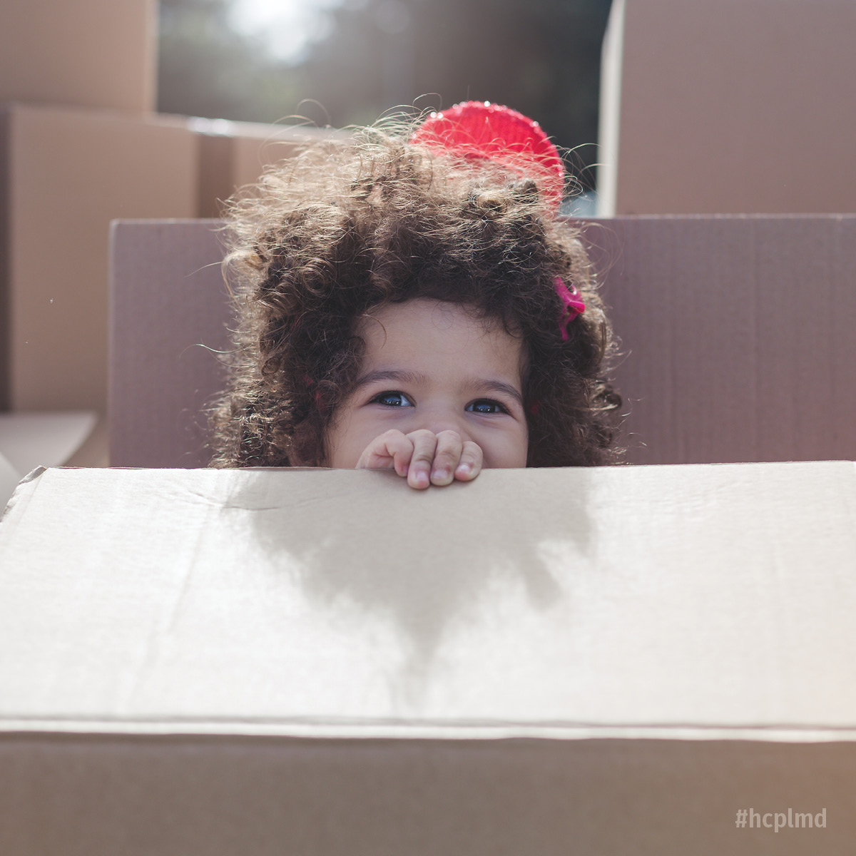 Box Forts